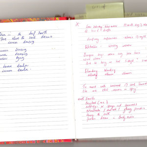 Lughnasa Damhsa notes - page two