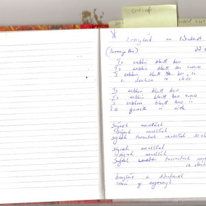 Meadhrán Samhraidh - I