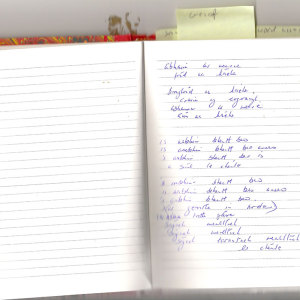 Meadhrán Samhraidh - II